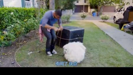 [文]喜剧电影《顽皮鬼》解说文案 解说素材