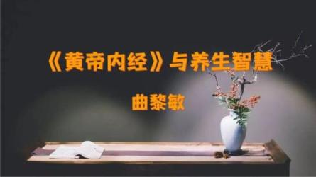 不生病的智慧:曲黎敏精讲《黄帝内经》，培养健康生活状态，掌握自救自爱的能力-课程-网盘资源分享