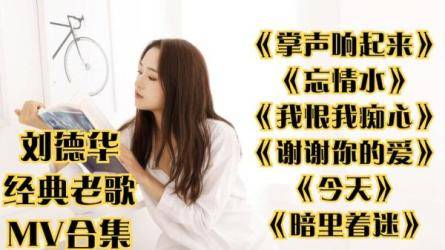 刘德华MV专辑103首全集-课程-网盘资源分享