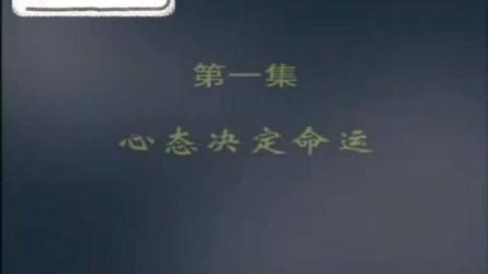 以价值观为本的领导（吴维库）-课程-网盘资源分享