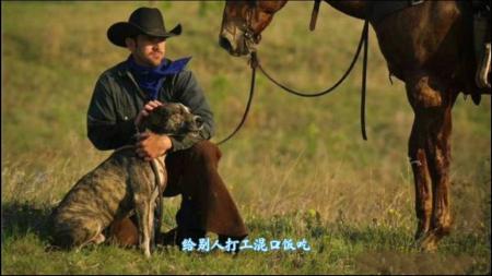 [文]剧情《超级人生》电影解说文案