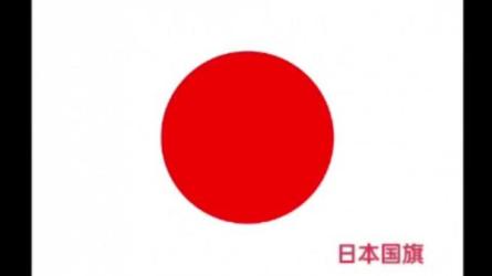 世界杯足球专题合集（1930-2022）4年一届的足球盛宴燃...-课程-网盘资源分享
