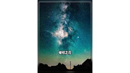 [文]剧情电影《破碎之花》解说文案