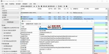 Bulk Crap Uninstaller 免费开源的软件卸载器_V5.8.2 PC绿色版-[吾爱首发]