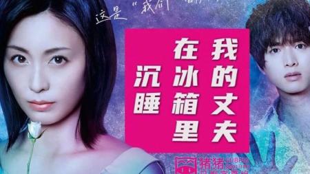 [文]悬疑电影《我的丈夫在冷冻库里沉睡着》解说文案