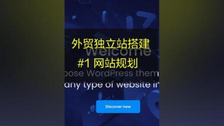 价值449的外贸独立站防黑专栏+多语言独立站建设2套课程合集-课程-网盘资源分享