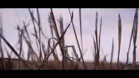 冷冷：个人成长30讲；想明白这些，我用了3年-课程-网盘资源分享