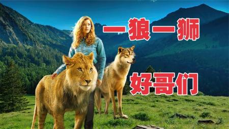 [文]冒险电影《狼与狮子》解说文案