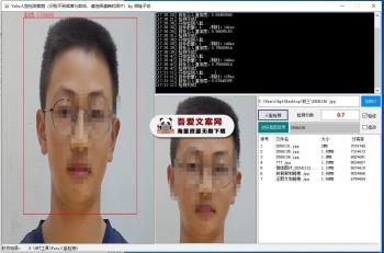 Yolo人脸特征检测裁剪工具 PC免费版-[吾爱首发]