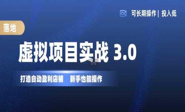 打造自动盈利虚拟店铺[吾爱首发]