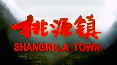 [文]剧情《桃源镇》电影解说文案