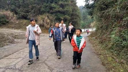 一键种草托管单账号日收益13元可矩阵操作绿色稳定可...-课程-网盘资源分享