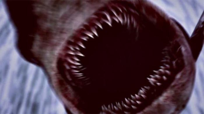 6分钟带你看完美国恐怖电影《毒鲨》解说文案-[原创首发]-吾爱文案网