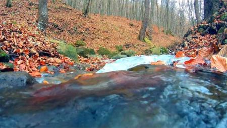 [文]家庭电影《流水落花》解说文案