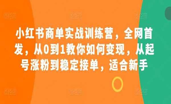 小红书商单实战[吾爱首发]