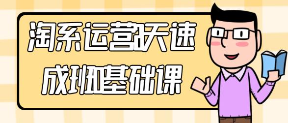 淘系运营21天速成班0基础课【吾爱】