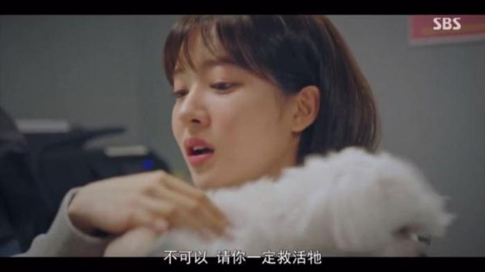 《顶楼》第3期：这狗血剧还能玩反转，假死药都研制出来了！电影解说文案-[原创首发]-吾爱文案网