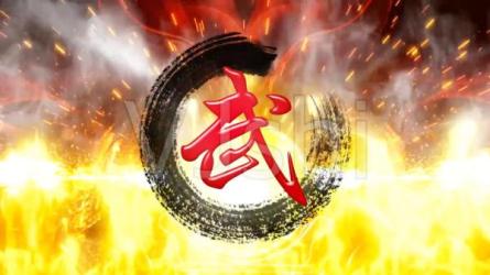 中国武术教程-课程-网盘资源分享