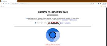 Thorium 号称地球上最快的浏览器_V128.0.6613.189 PC中文版-[吾爱首发]