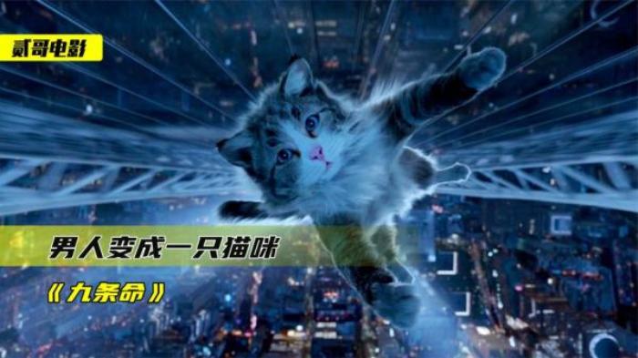 喜剧科幻片《九条命》解说文案-[原创首发]-吾爱文案网