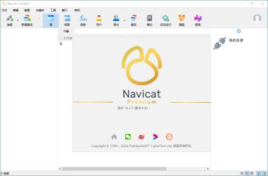 Navicat Premium v17.1.10绿色版[]