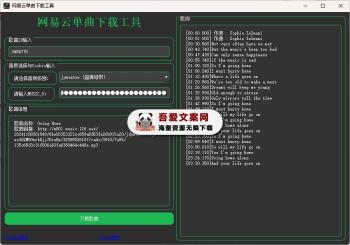 网易云单曲下载工具 PC免费版-[吾爱首发]