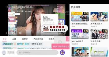 哔哩哔哩HD大屏版_V1.47.1 纯净版-[吾爱首发]