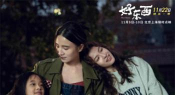 9.1分成年度最高分影戏 《好工具》之后能爆吗？