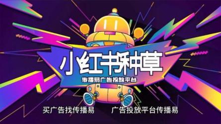 【辛言玩爆小红书流量实战班】，小红书种草是内容营销...-课程-网盘资源分享