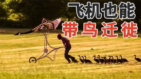 [文]剧情电影《伴你高飞》解说文案 解说素材 解说词