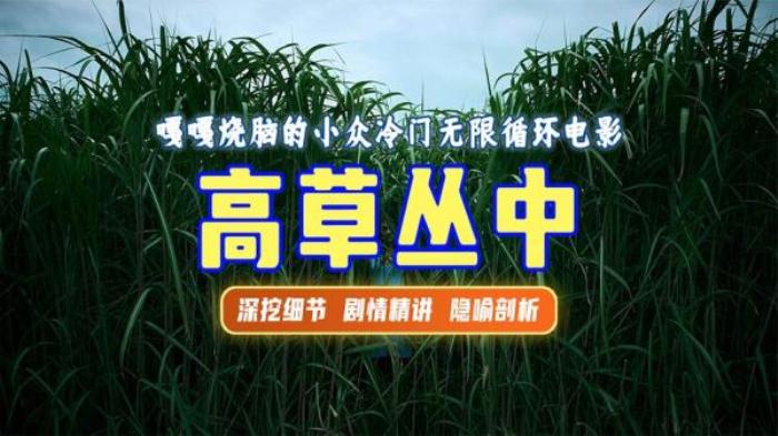 烧脑悬疑电影《高草丛中》-[原创首发]-吾爱文案网