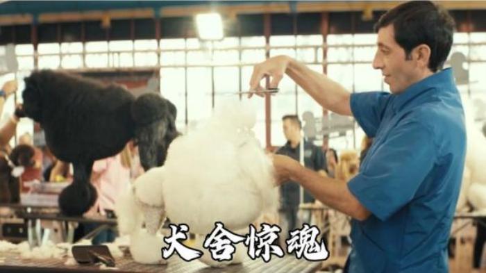 惊悚犯罪片《犬舍惊魂》解说文案-[原创首发]-吾爱文案网