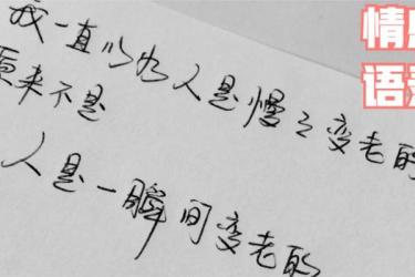 中视频情感语录教程，一部电脑，打造月入过万情感账号-课程-网盘资源分享