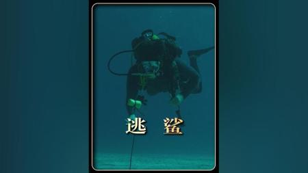 [文]惊悚片《逃鲨》电影解说文案