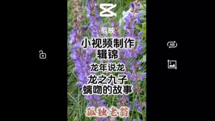 全新超强AI工具，批量生成原创视频，无脑上传多平台变现...-课程-网盘资源分享