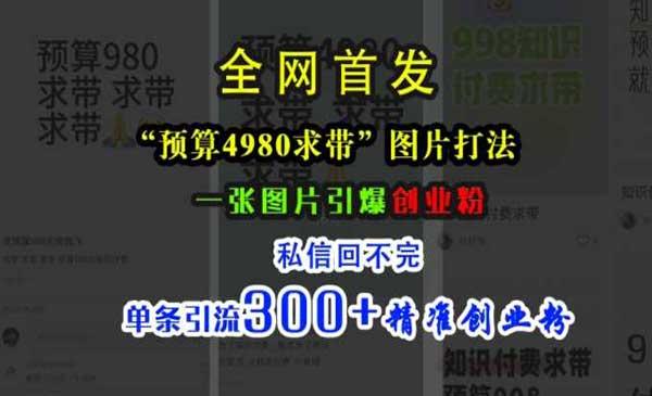 一张图片引爆创业粉[吾爱首发]