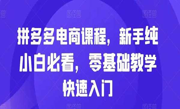 拼多多快速入门[吾爱首发]