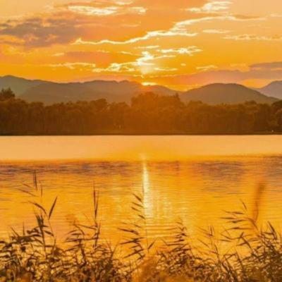 【感悟】观看幼儿园纪录片的感悟（纪录片幼儿园观后感心得体会）