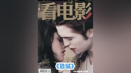 [文]动作电影《危城》解说文案