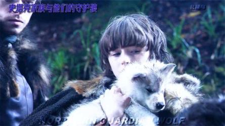 北极鸟周杰伦音乐号无人**，完整9节课程【软件+素材】-课程-网盘资源分享