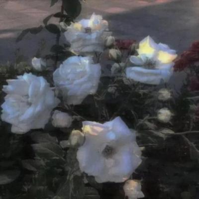 【感悟】三年级感悟数学的魅力心得（小学三年级学党史心得感悟）