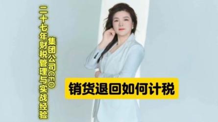 【七】卓越企业财税体系进阶模板（精品）-课程-网盘资源分享