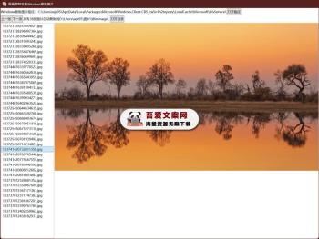CopyWinImage 本机Windows聚焦图片复制工具 PC绿色版-[吾爱首发]