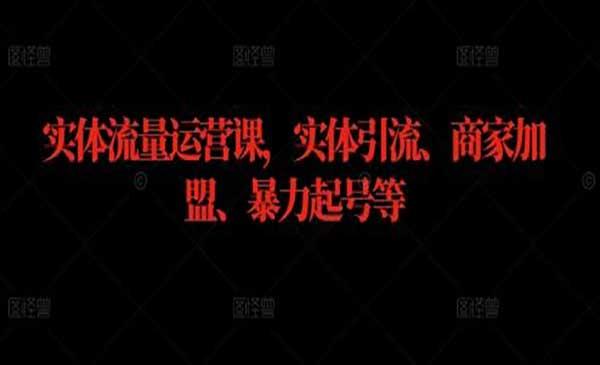 实体流量运营[吾爱首发]