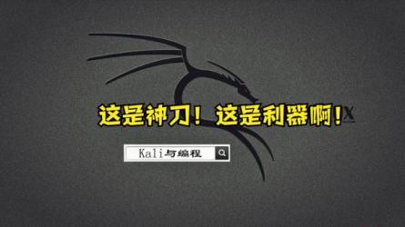 【腾讯课堂-475219】Kali安全渗透+Web白帽子高级工程师+黑客._63-课程-网盘资源分享