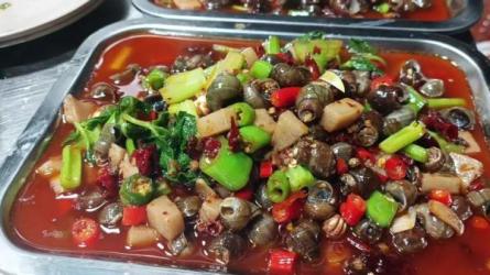 价值百万的威信营销策划引流系列课，每天引流100精准粉-课程-网盘资源分享