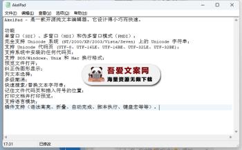 AkelPad 开源免费的轻量级文本编辑器_V4.9.9 PC版-[吾爱首发]