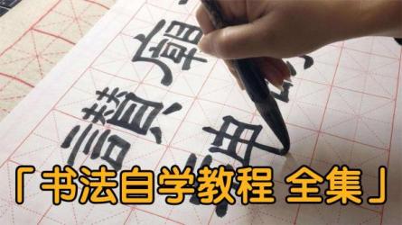 书法教程大合集一日分享-课程-网盘资源分享
