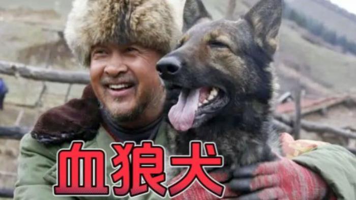 动作  冒险电影《血狼犬》解说文案-[原创首发]-吾爱文案网