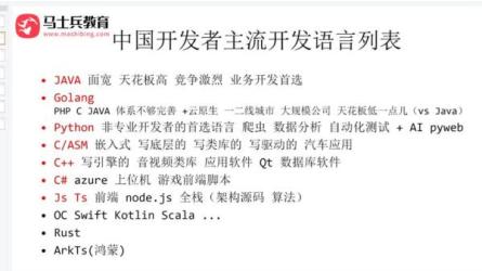 【马士兵教育】网络安全大师课：安全运维架构师全栈课程_-课程-网盘资源分享